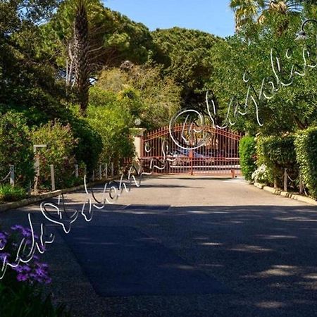 Magnifique Parc De La Presqu'Ile Avec Piscine Et Plage Face A Porquerolles ! Hyères Eksteriør bilde