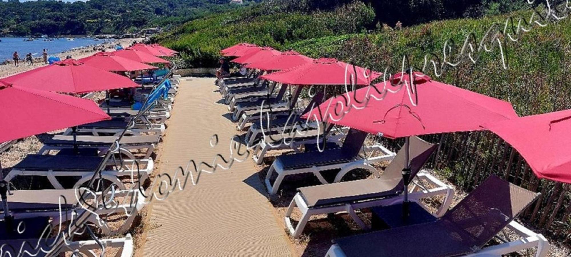 Magnifique Parc De La Presqu'Ile Avec Piscine Et Plage Face A Porquerolles ! Hyères Eksteriør bilde
