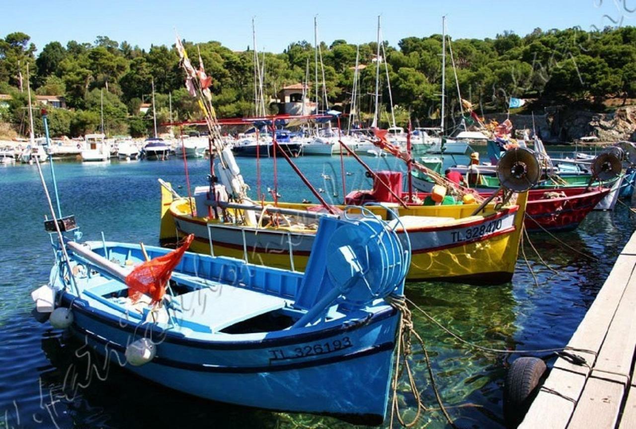 Magnifique Parc De La Presqu'Ile Avec Piscine Et Plage Face A Porquerolles ! Hyères Eksteriør bilde
