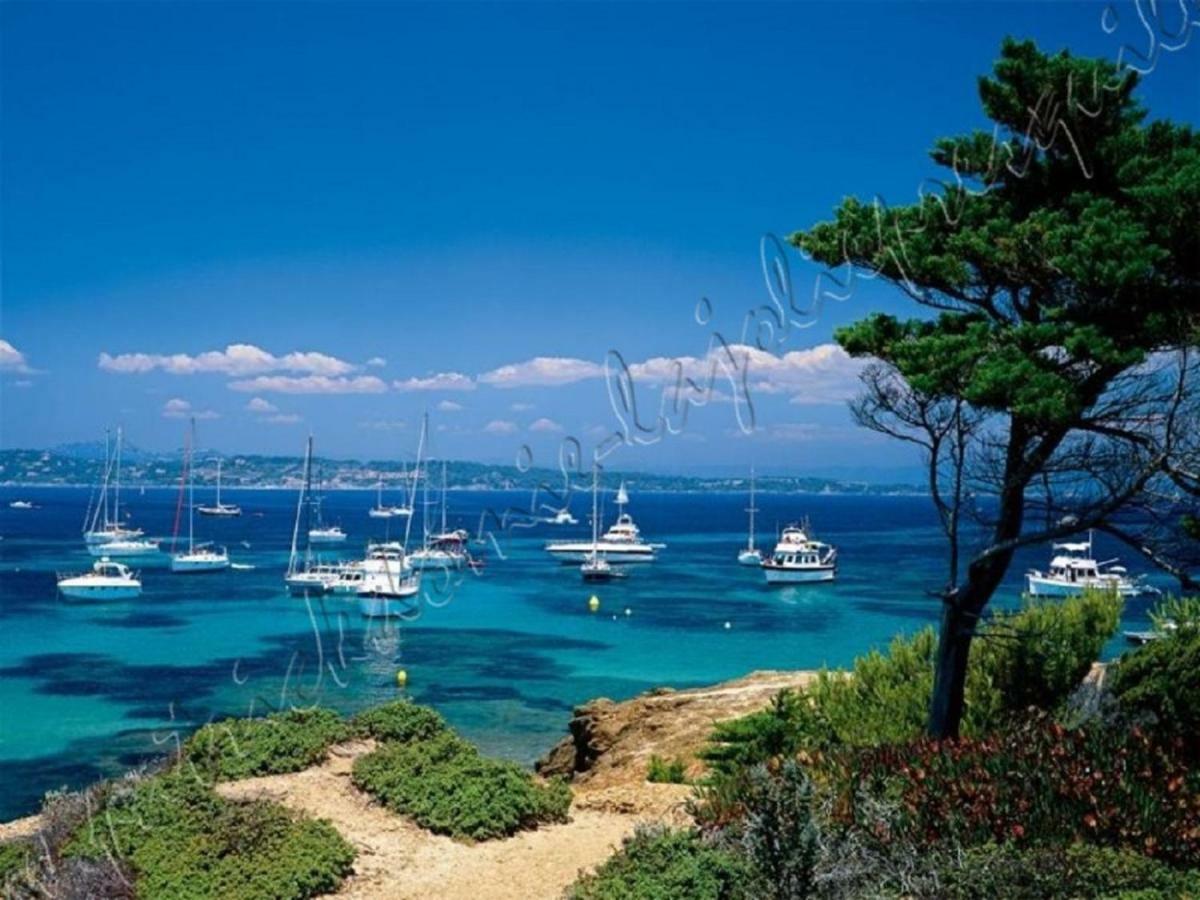 Magnifique Parc De La Presqu'Ile Avec Piscine Et Plage Face A Porquerolles ! Hyères Eksteriør bilde