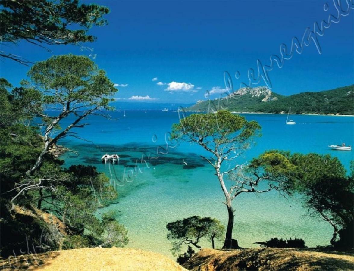 Magnifique Parc De La Presqu'Ile Avec Piscine Et Plage Face A Porquerolles ! Hyères Eksteriør bilde