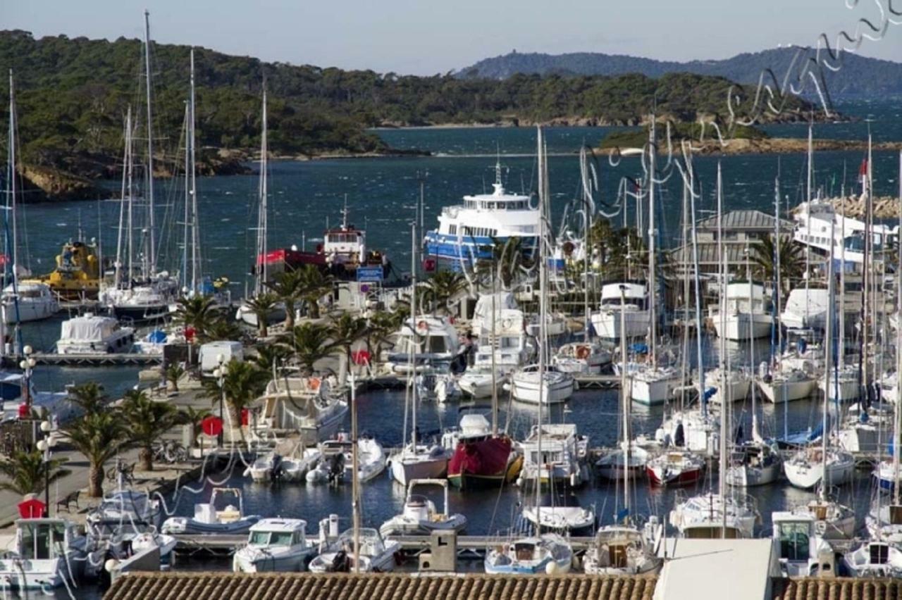 Magnifique Parc De La Presqu'Ile Avec Piscine Et Plage Face A Porquerolles ! Hyères Eksteriør bilde