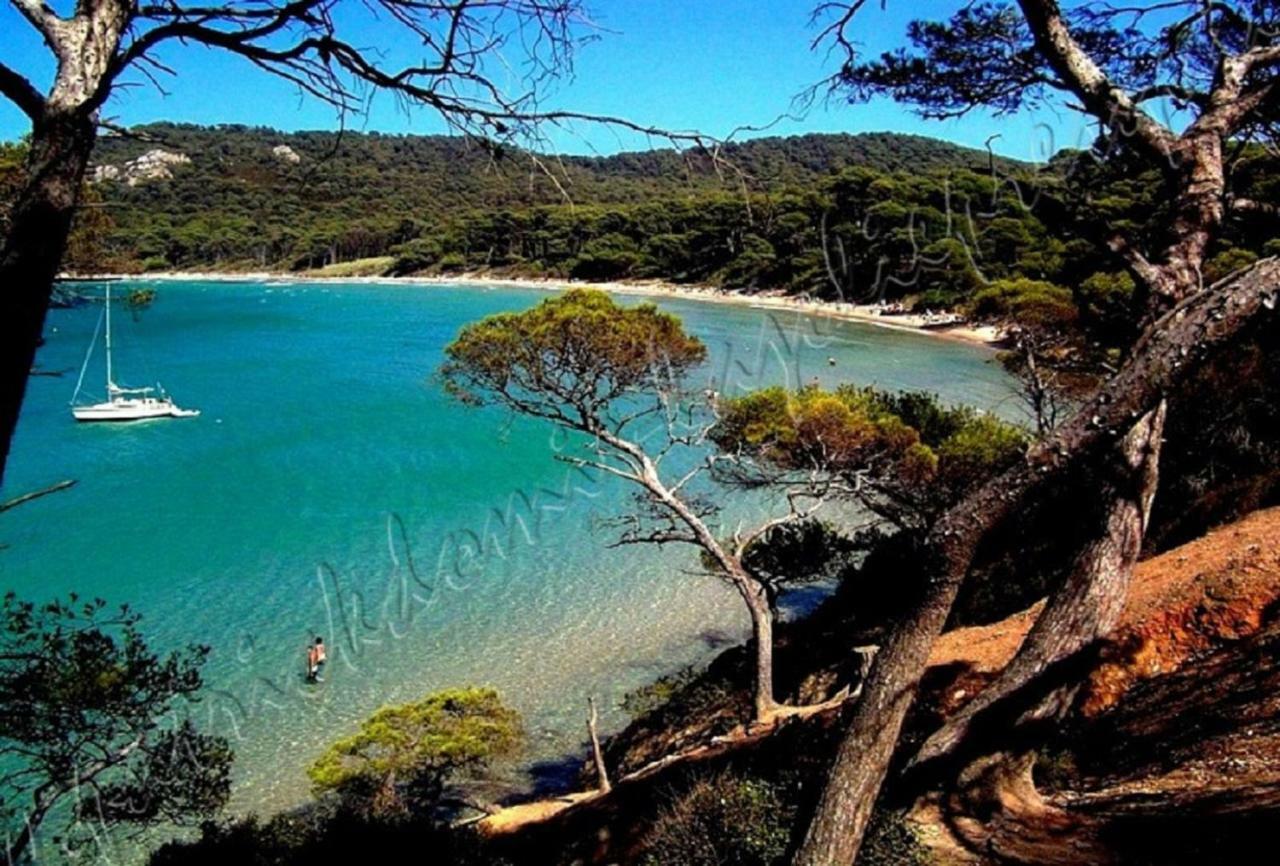 Magnifique Parc De La Presqu'Ile Avec Piscine Et Plage Face A Porquerolles ! Hyères Eksteriør bilde