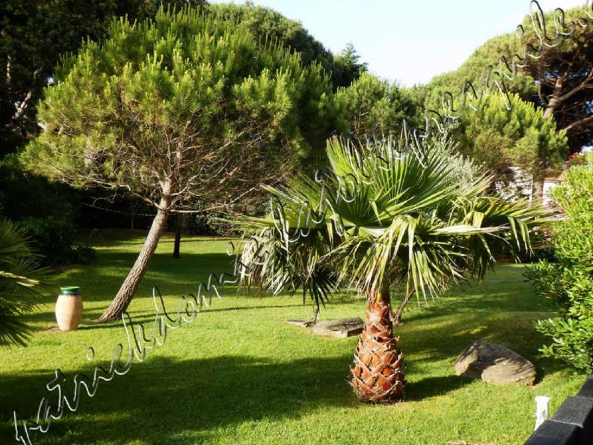 Magnifique Parc De La Presqu'Ile Avec Piscine Et Plage Face A Porquerolles ! Hyères Eksteriør bilde